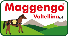 Maggengo Logo