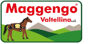 Maggengo Logo